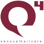 q4 logo